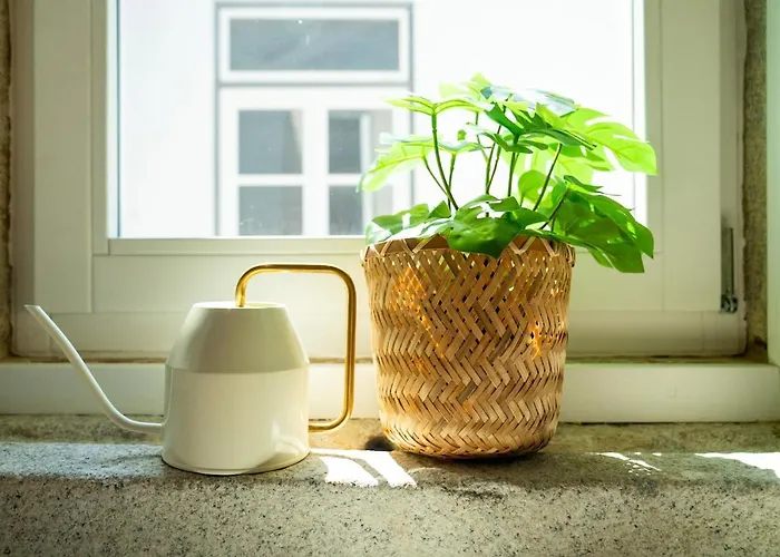 Lägenhet Flores Retreat