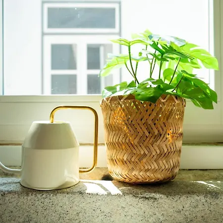 Lägenhet Flores Retreat